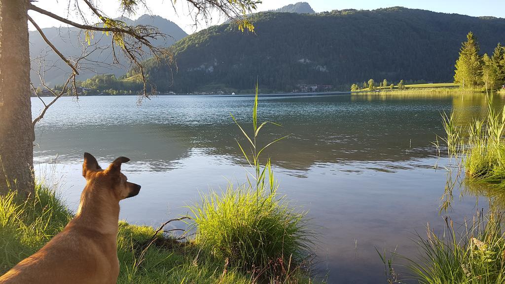 Chalet Glockenhof Walchsee Bagian luar foto