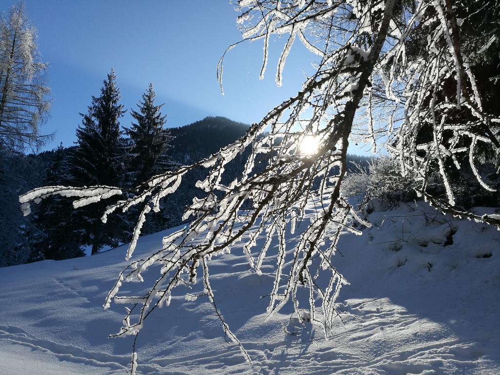 Chalet Glockenhof Walchsee Bagian luar foto